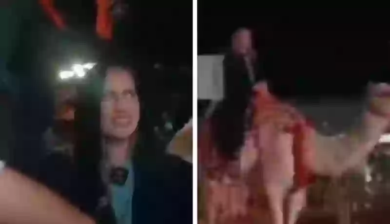 بالفيديو: أمريكية تركب الناقة وتمارس التطعيس هذا رأيها في السعودية والسعوديين